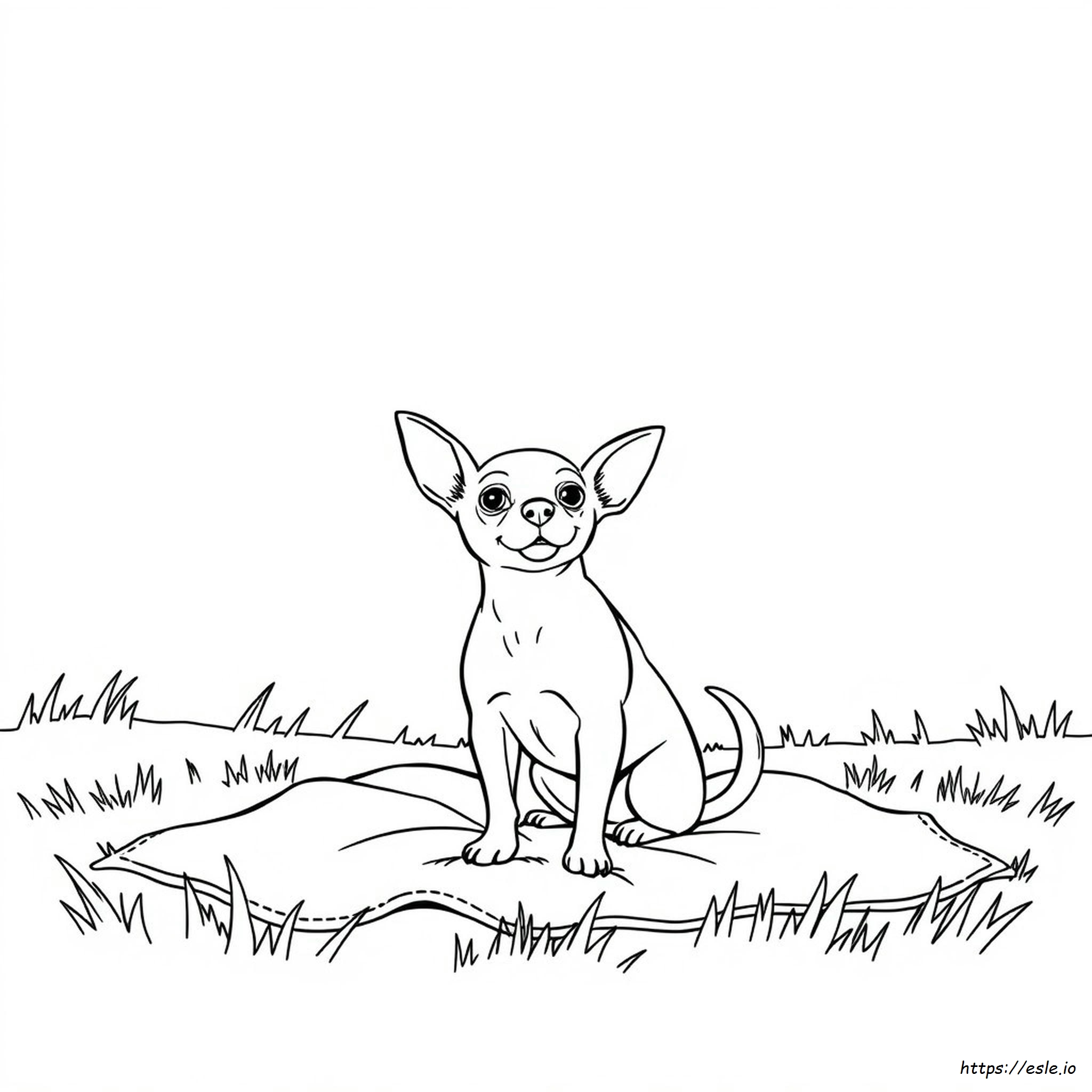 Chihuahua Da Colorare