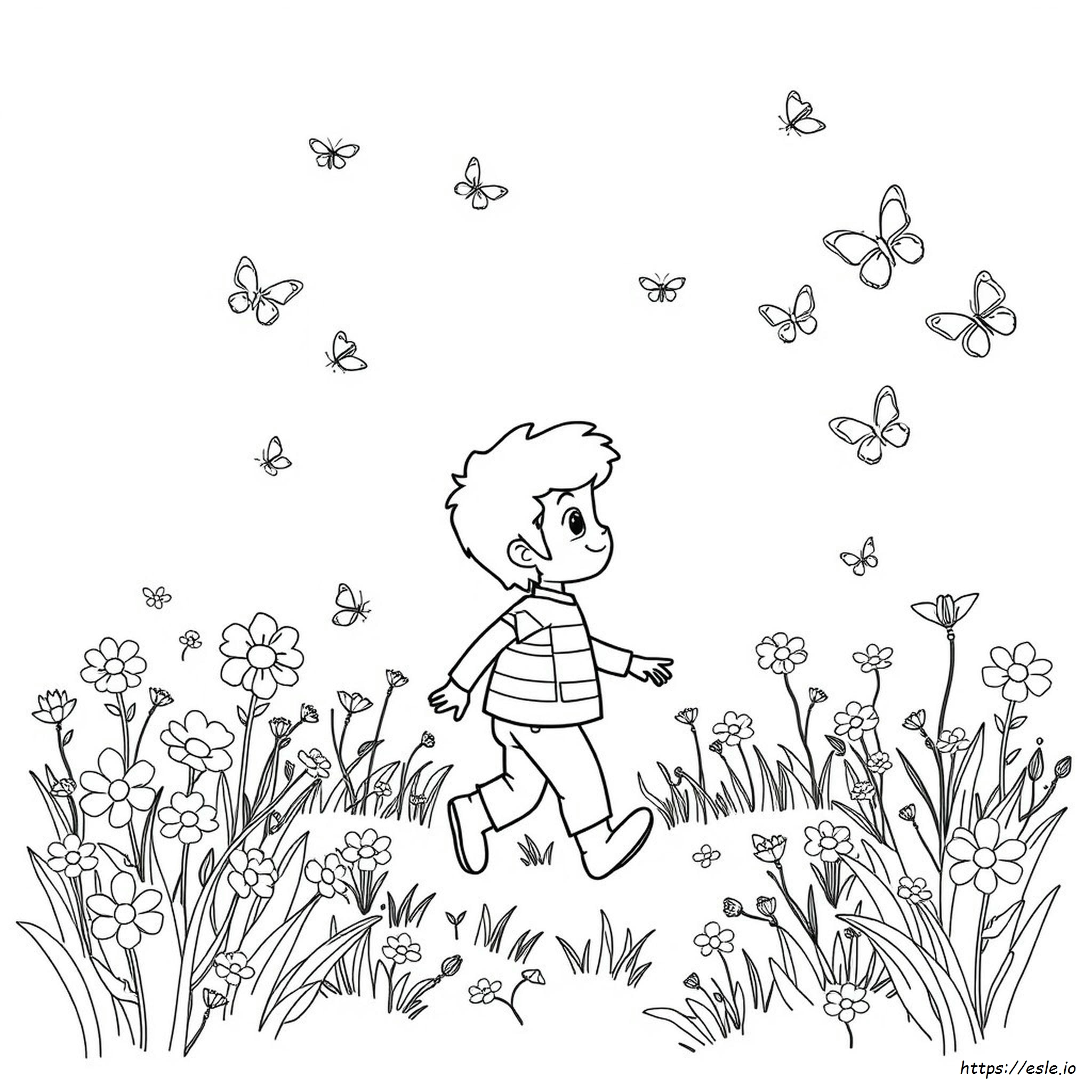 Disegni Da Colorare Di Palmer