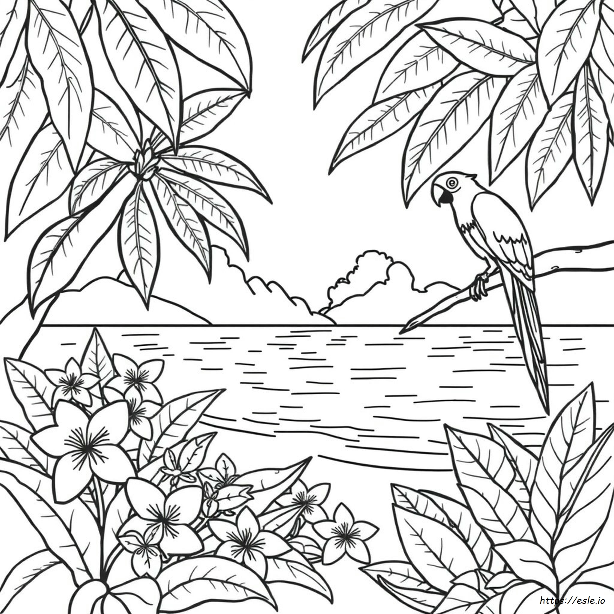 Disegni Da Colorare Esotici