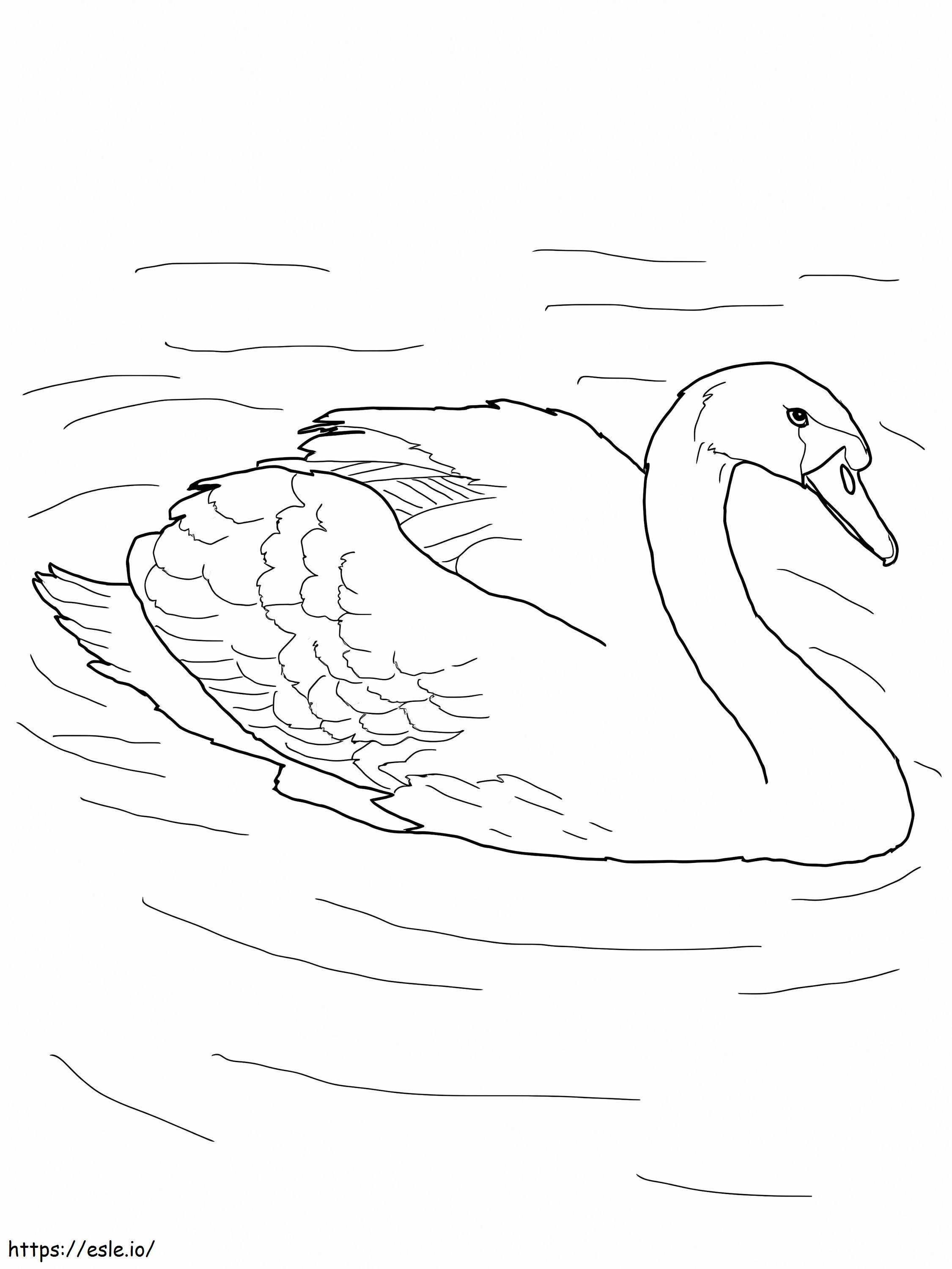 Cisne mudo en un estanque para colorear