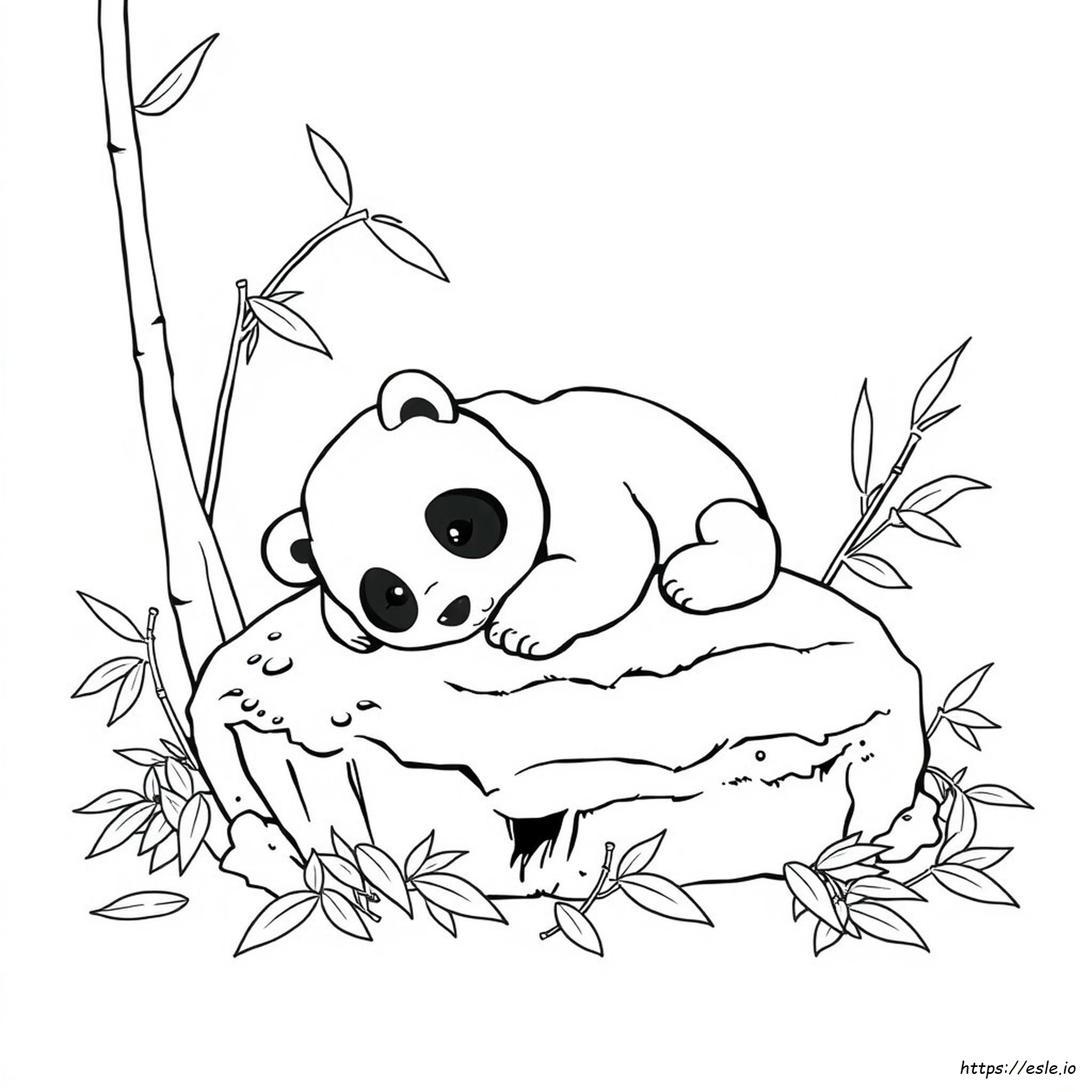 Pagina Da Colorare Con Cucciolo Di Panda