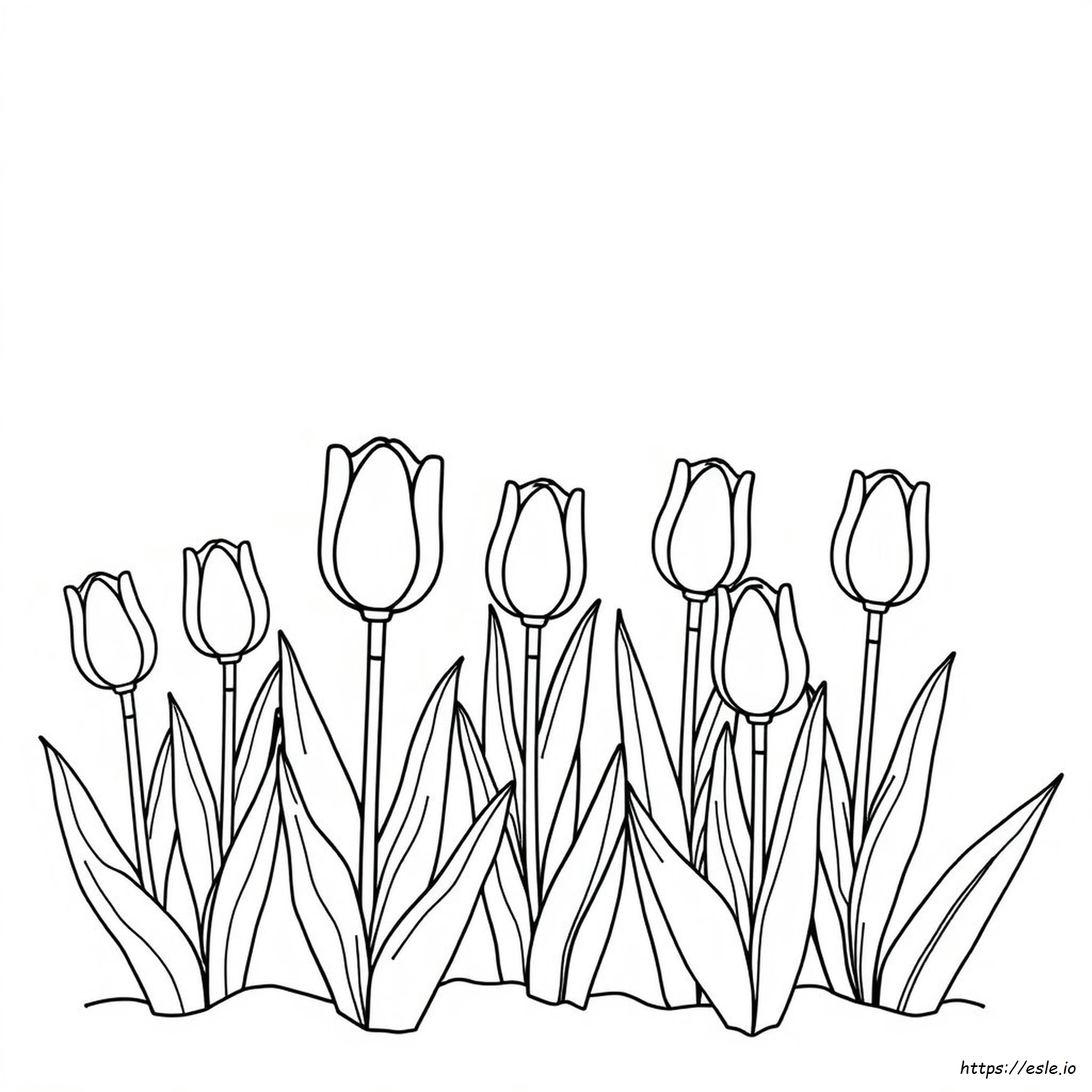 Tulipani Da Colorare