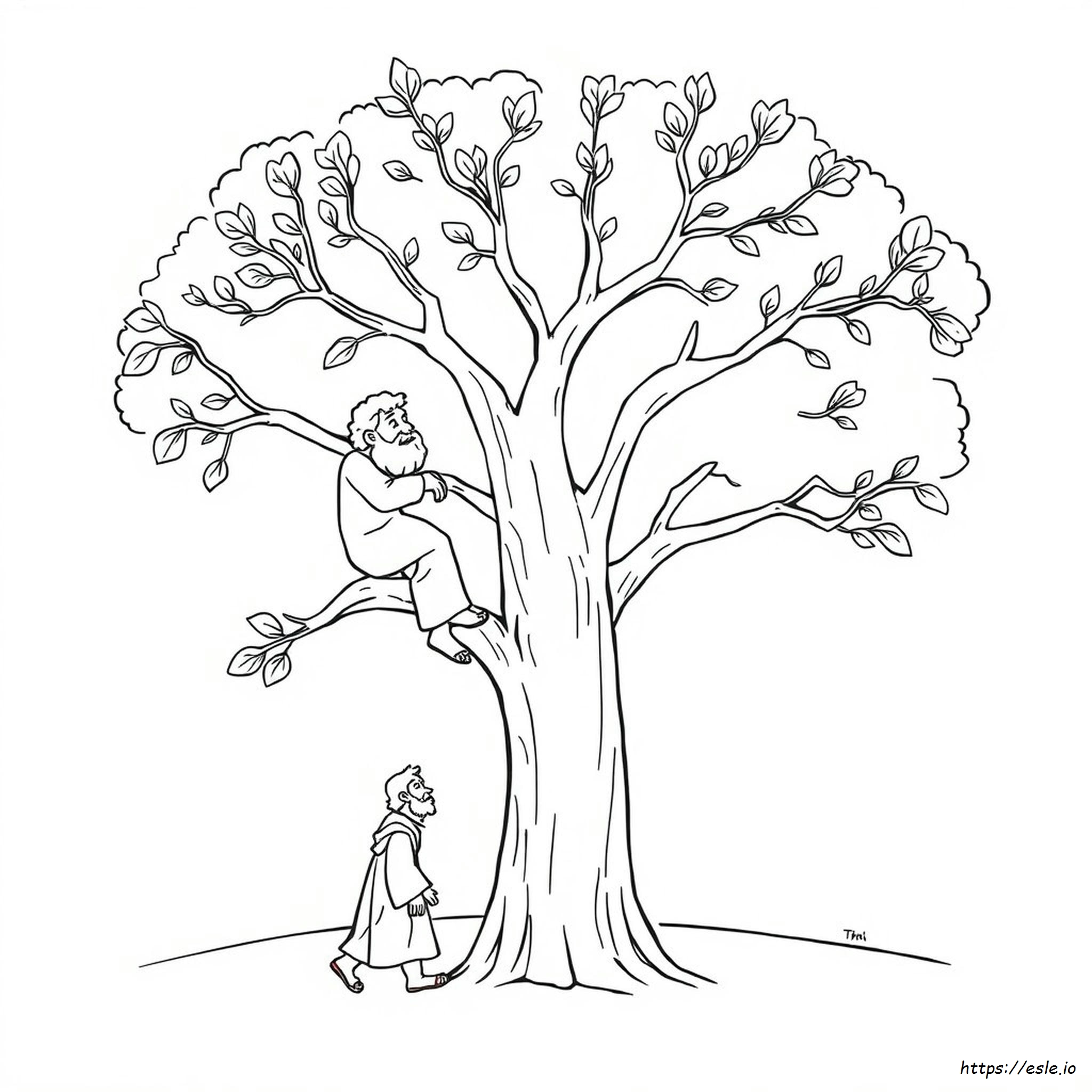 Zaccheo Sull'albero Di Sicomoro Da Colorare