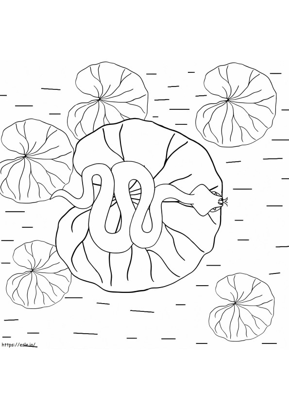Snake On Lily Pad coloring page