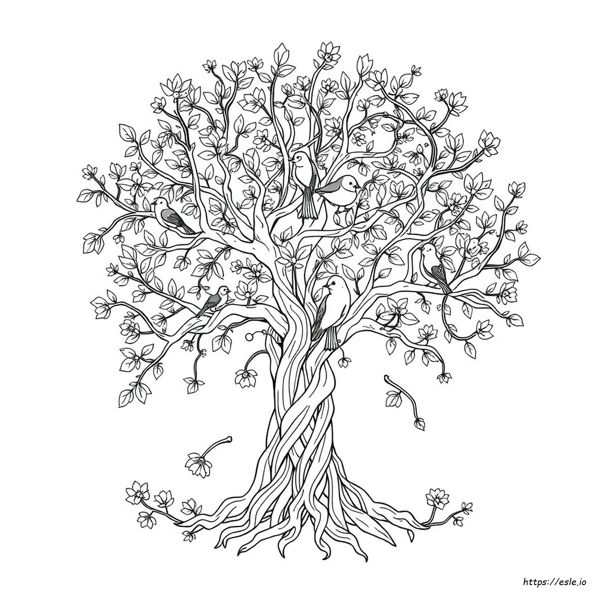 Disegni Da Colorare Complessi Da Stampare