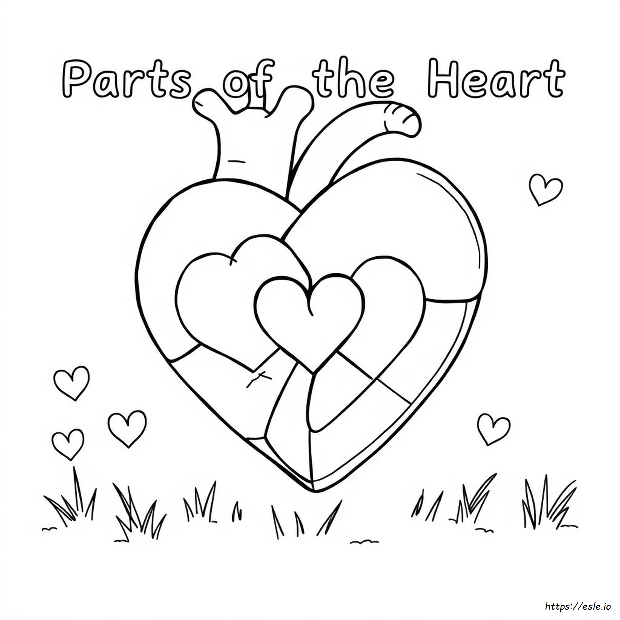 Parti Del Cuore Da Colorare