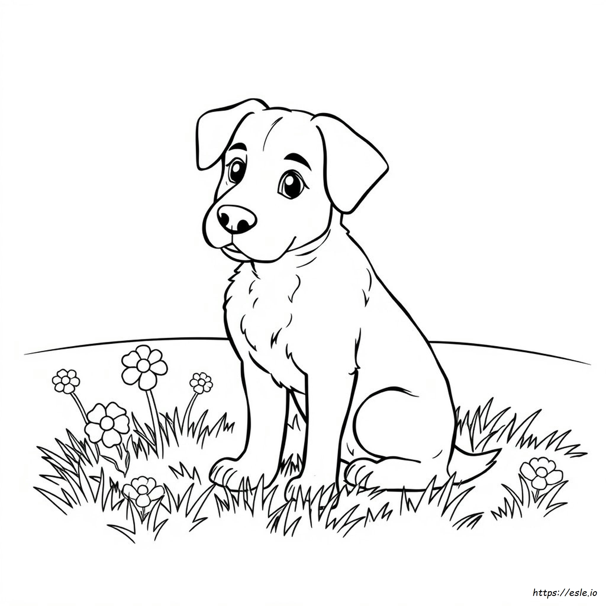 Disegni Dettagliati Di Cani Da Colorare
