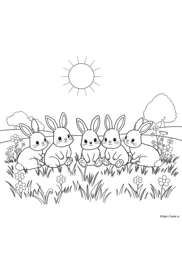 Buku Mewarnai Sunny Bunnies
