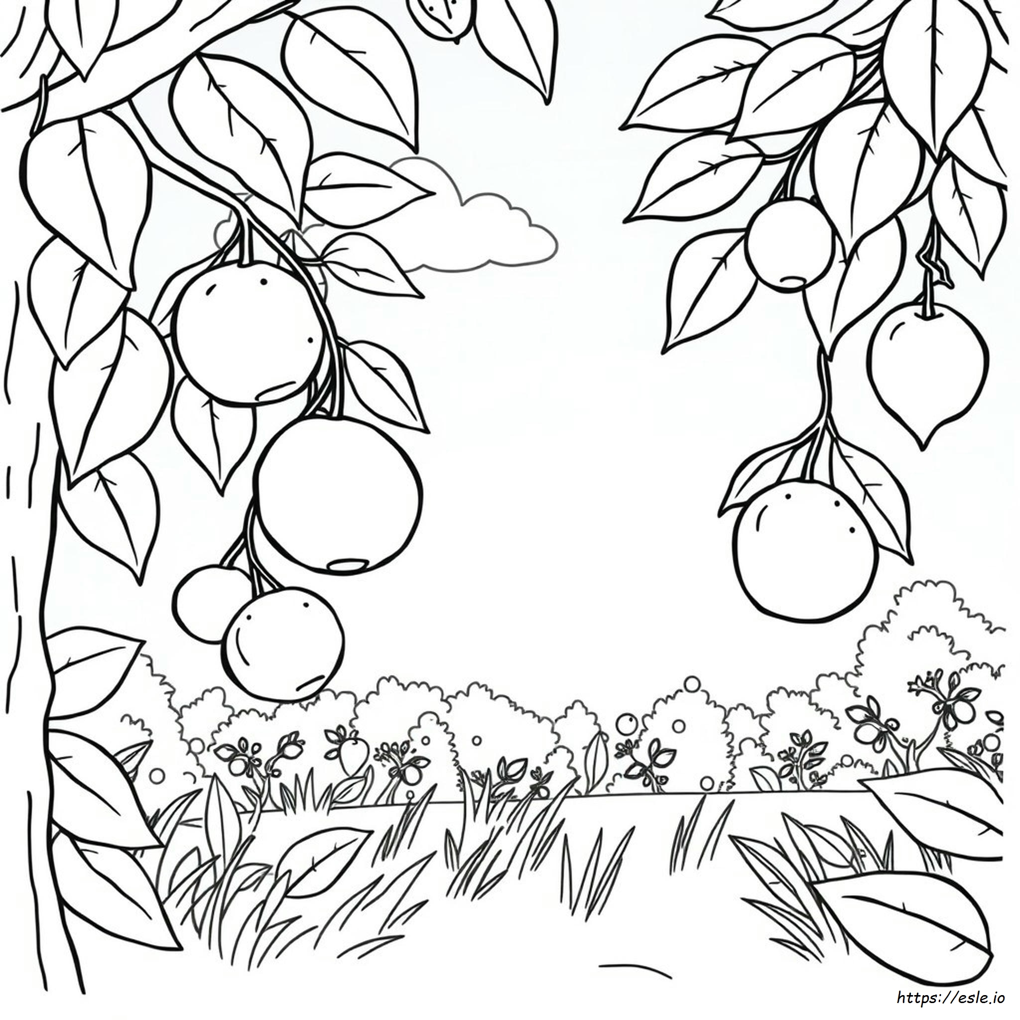 Disegni Di Frutta Da Colorare Per Bambini In Età Prescolare
