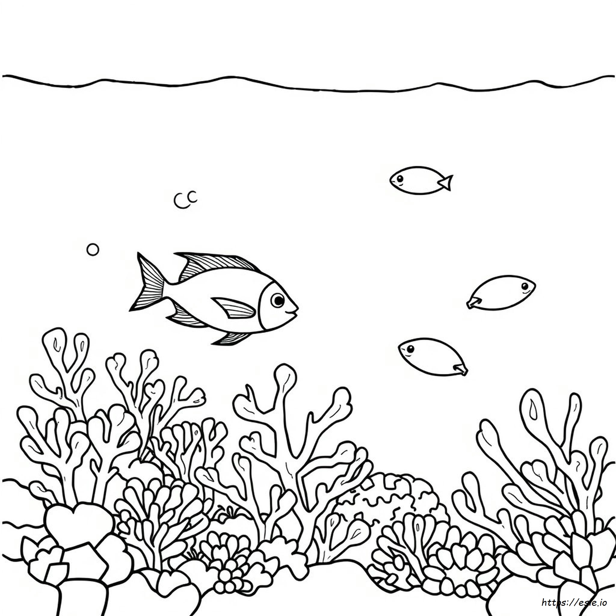 Free Coloring Pages Ocean Life