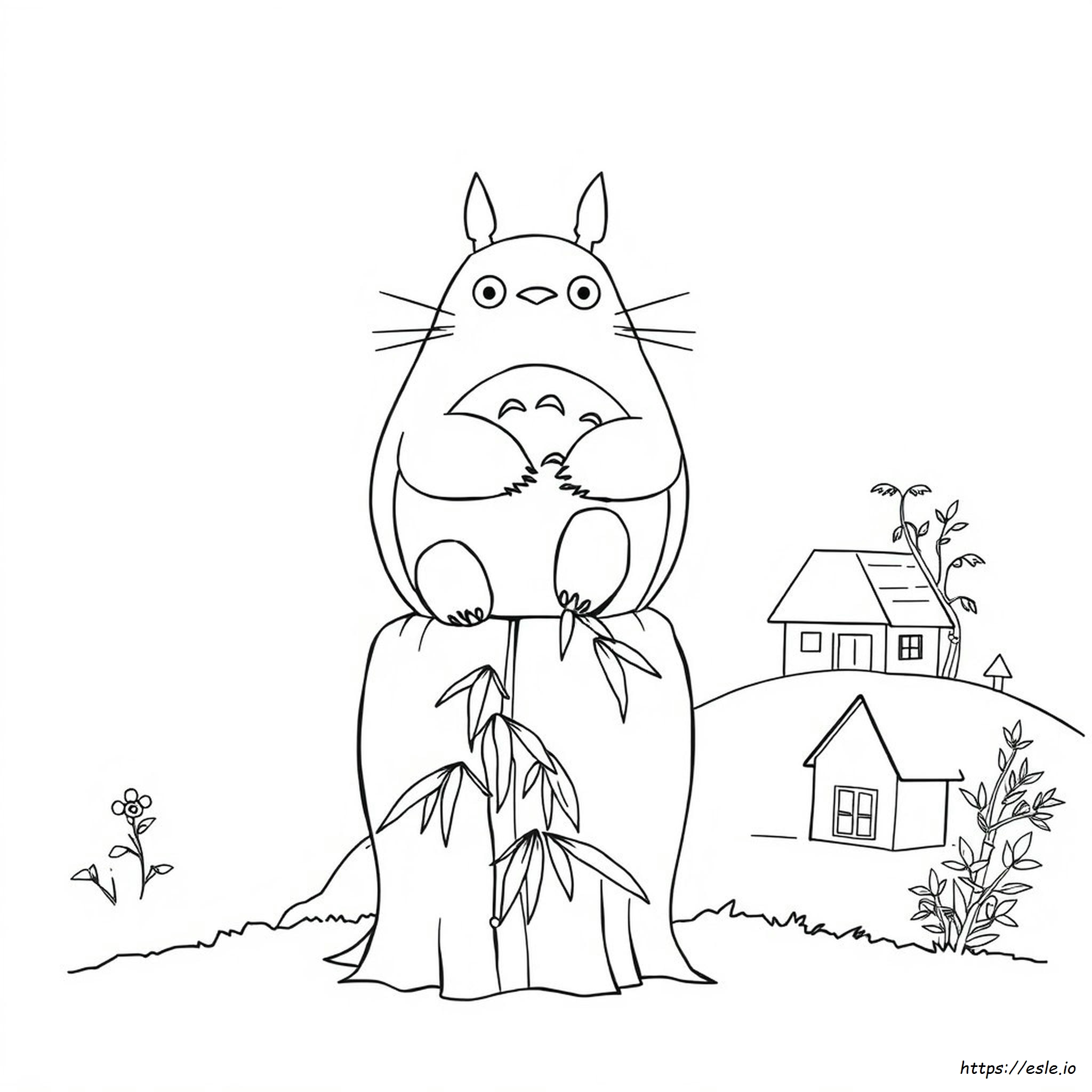 Totoro Coloring Book