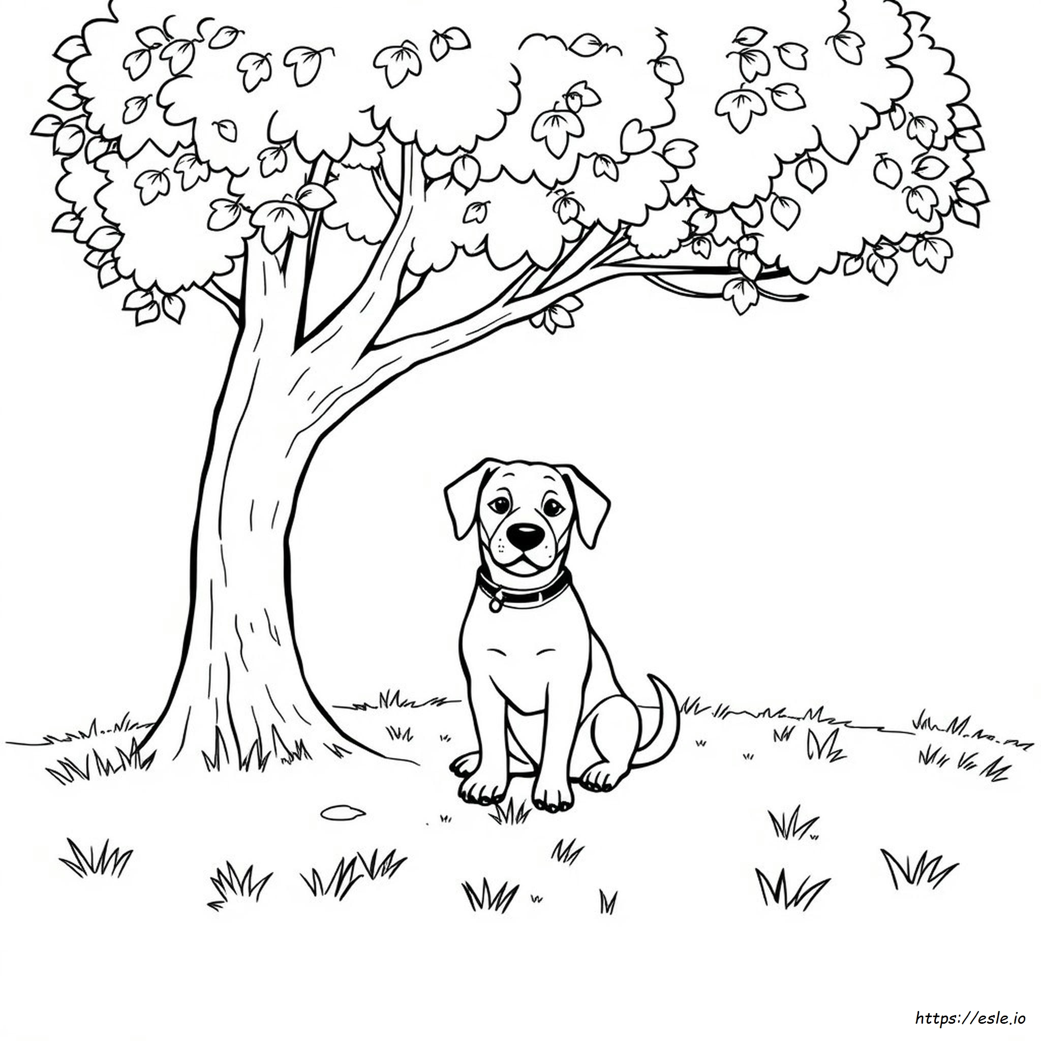 Colouring Pages Dogs Free Printable