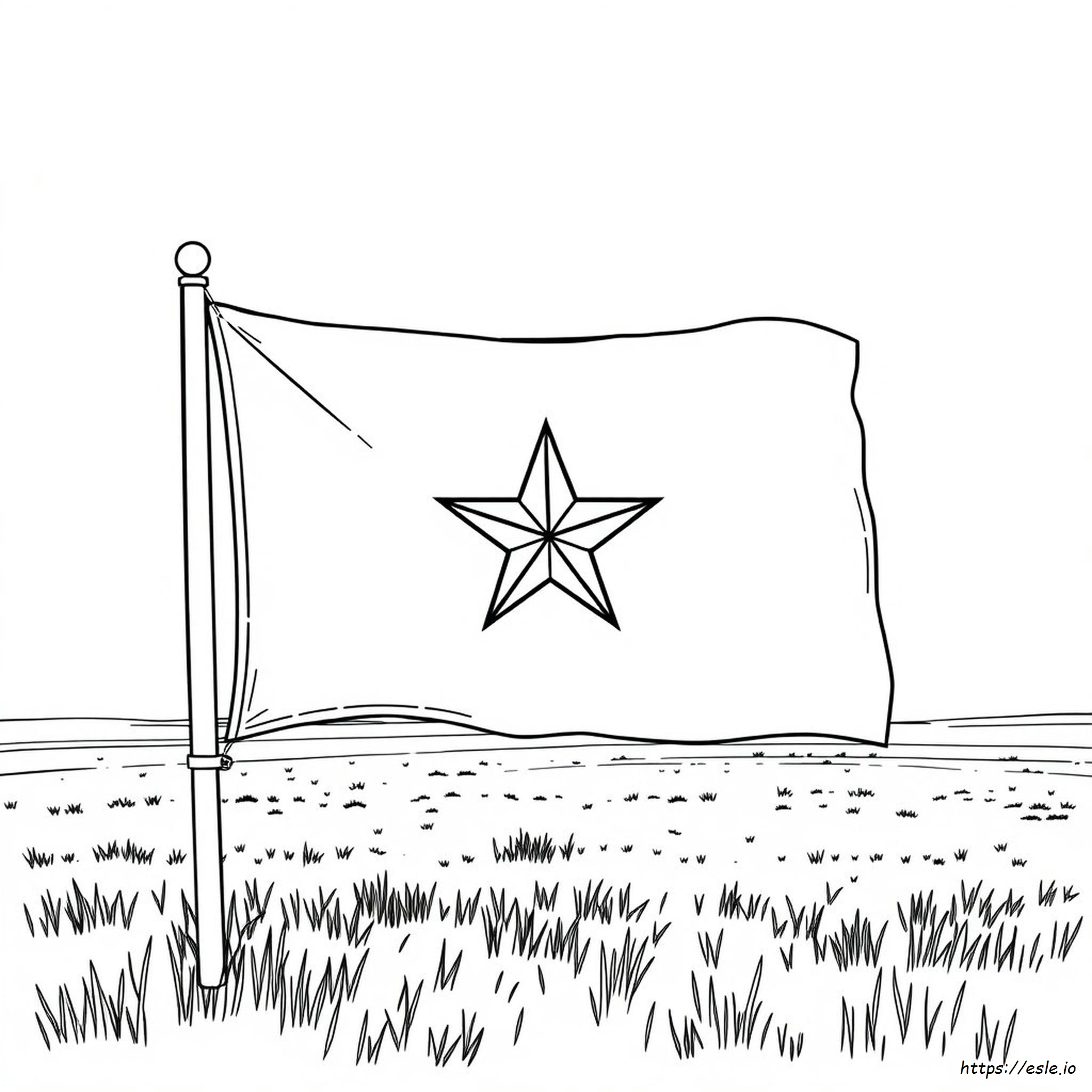 Pagina Da Colorare Stella Del Texas