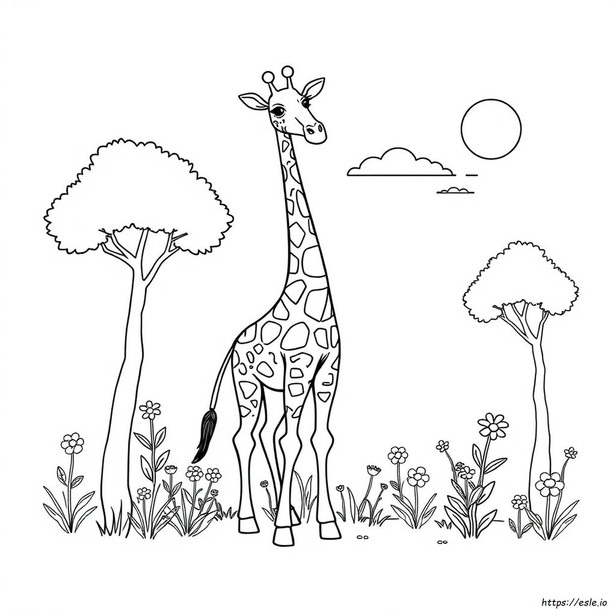 Colouring Picture Of A Giraffe