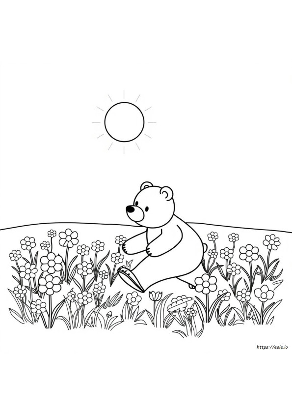 Hoe Bruin Te Kleuren
