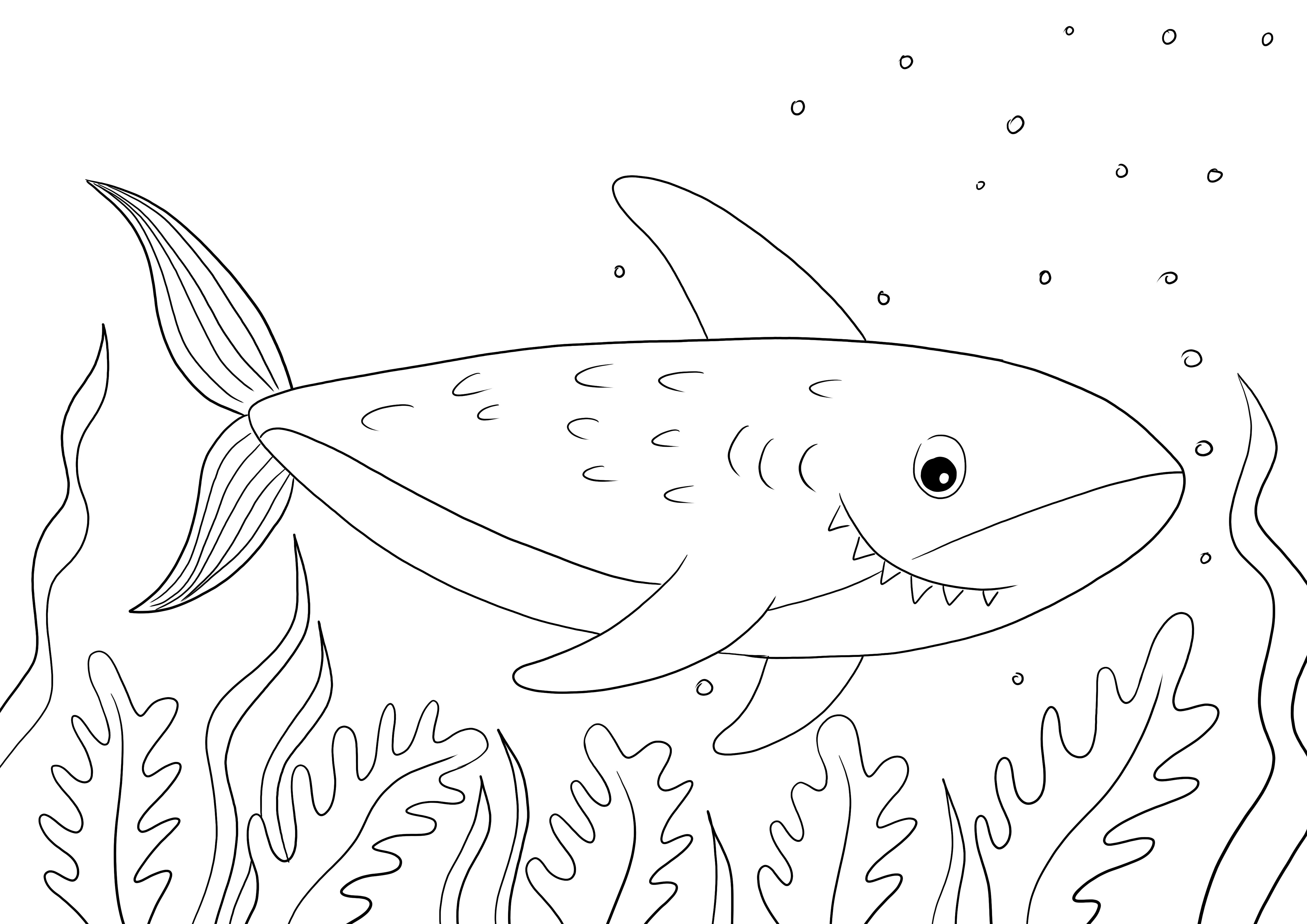 Easy and free printing of a Shark coloring page for kids to learn about sea animals
