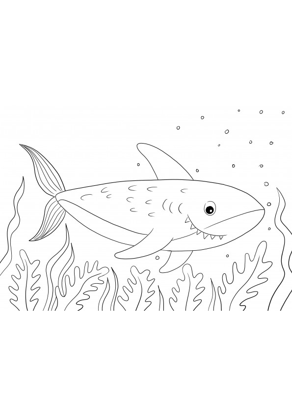 Easy and free printing of a Shark coloring page for kids to learn about sea animals