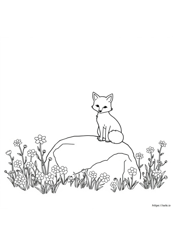 Raposa Para Colorir