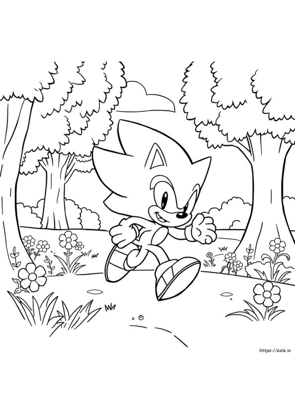 Free Printable Sonic The Hedgehog Coloring Pages
