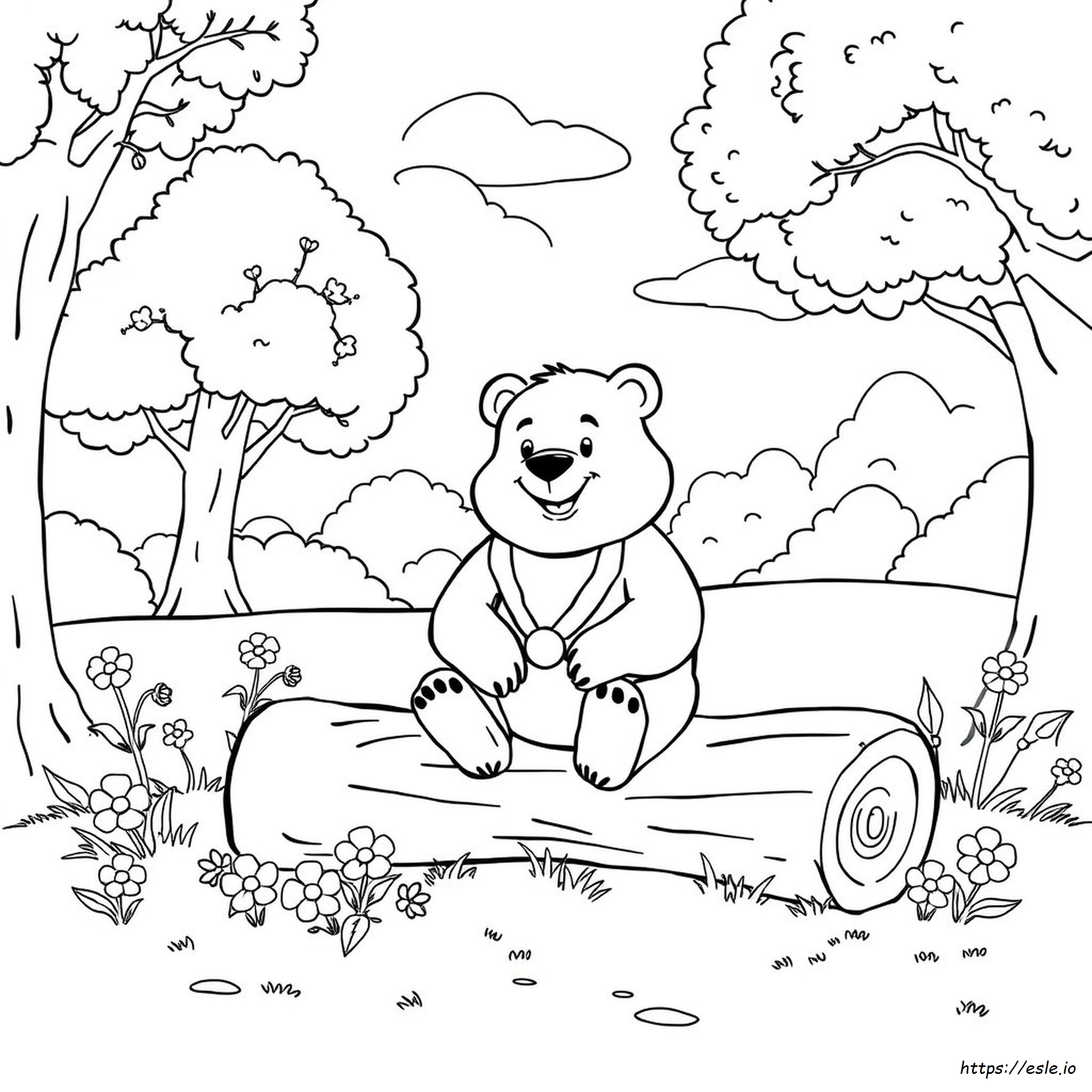 Yogi Bear: Libro Da Colorare