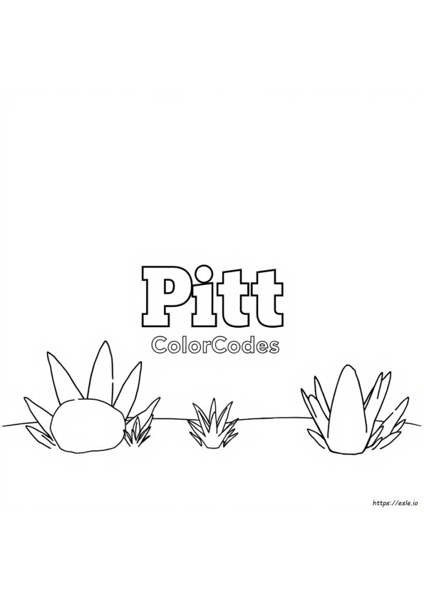 Pitt Color Codes