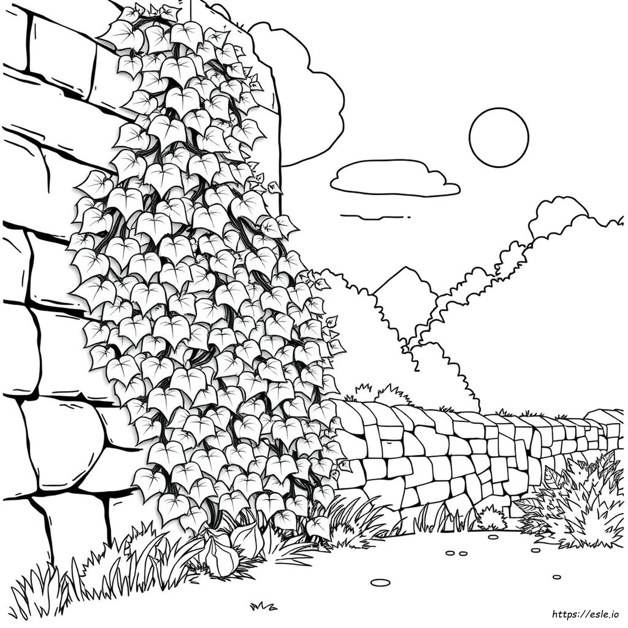 Disegni Di Edera Da Colorare