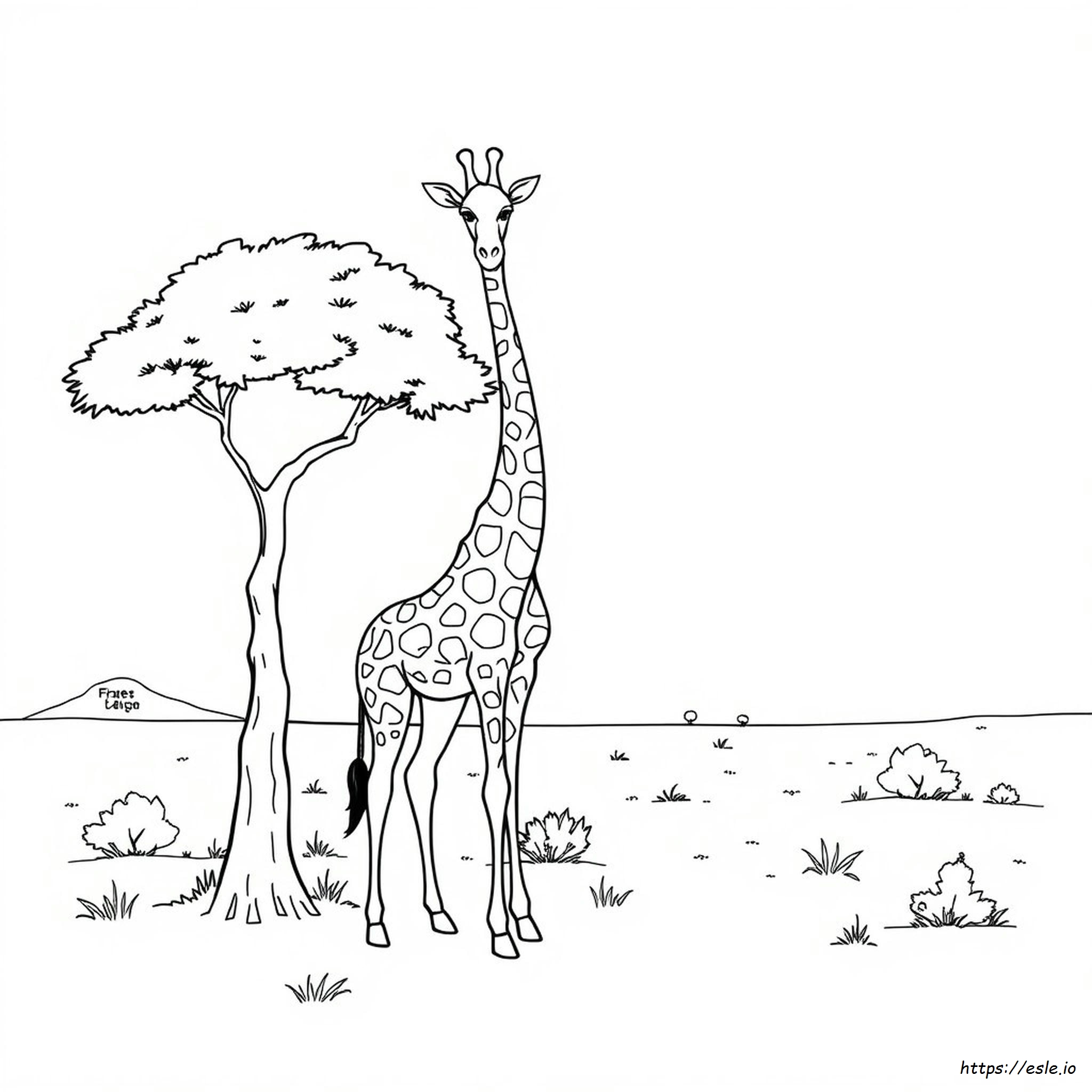 Disegni Da Colorare Di Giraffa