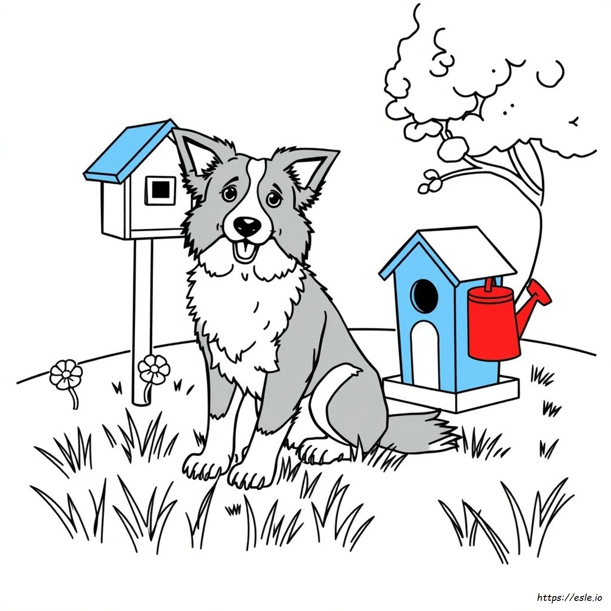 Border Collie Colouring Pages