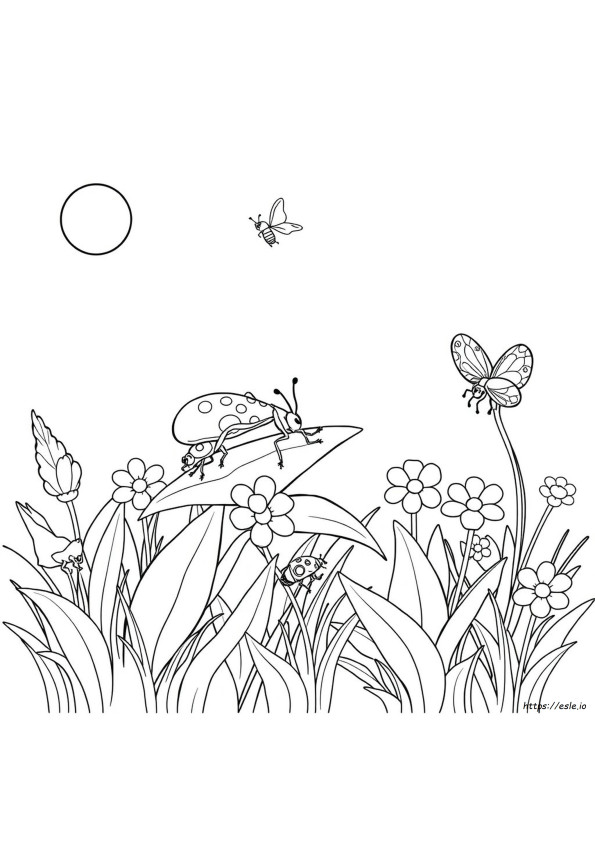 Libro Da Colorare Di Insetti