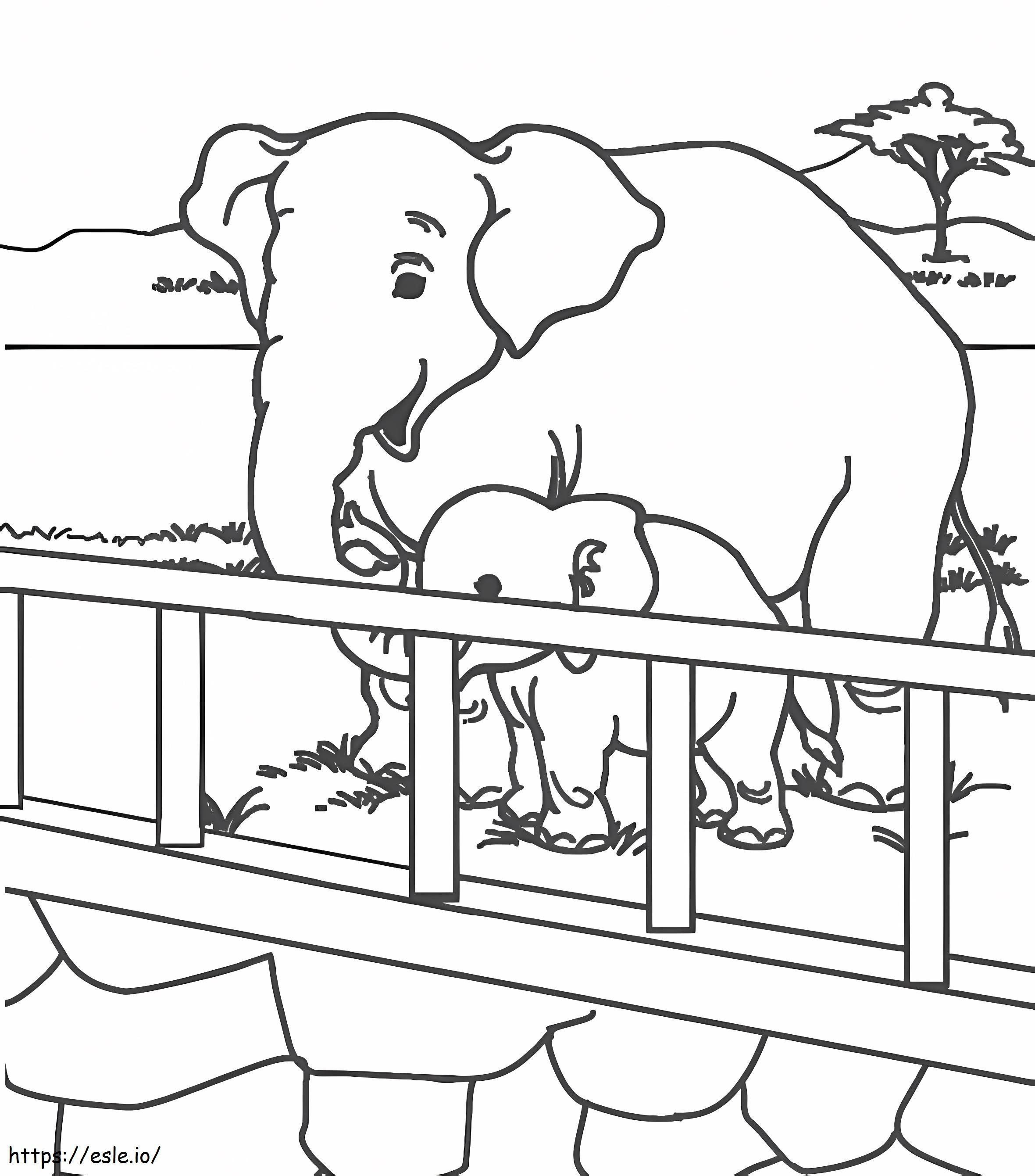 słonie w zoo kolorowanka