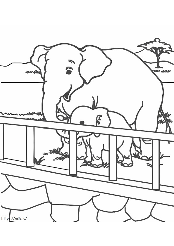 Coloriage Éléphants du zoo à imprimer dessin