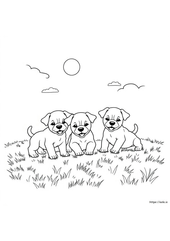 Gambar Mewarnai Anak Anjing Realistis