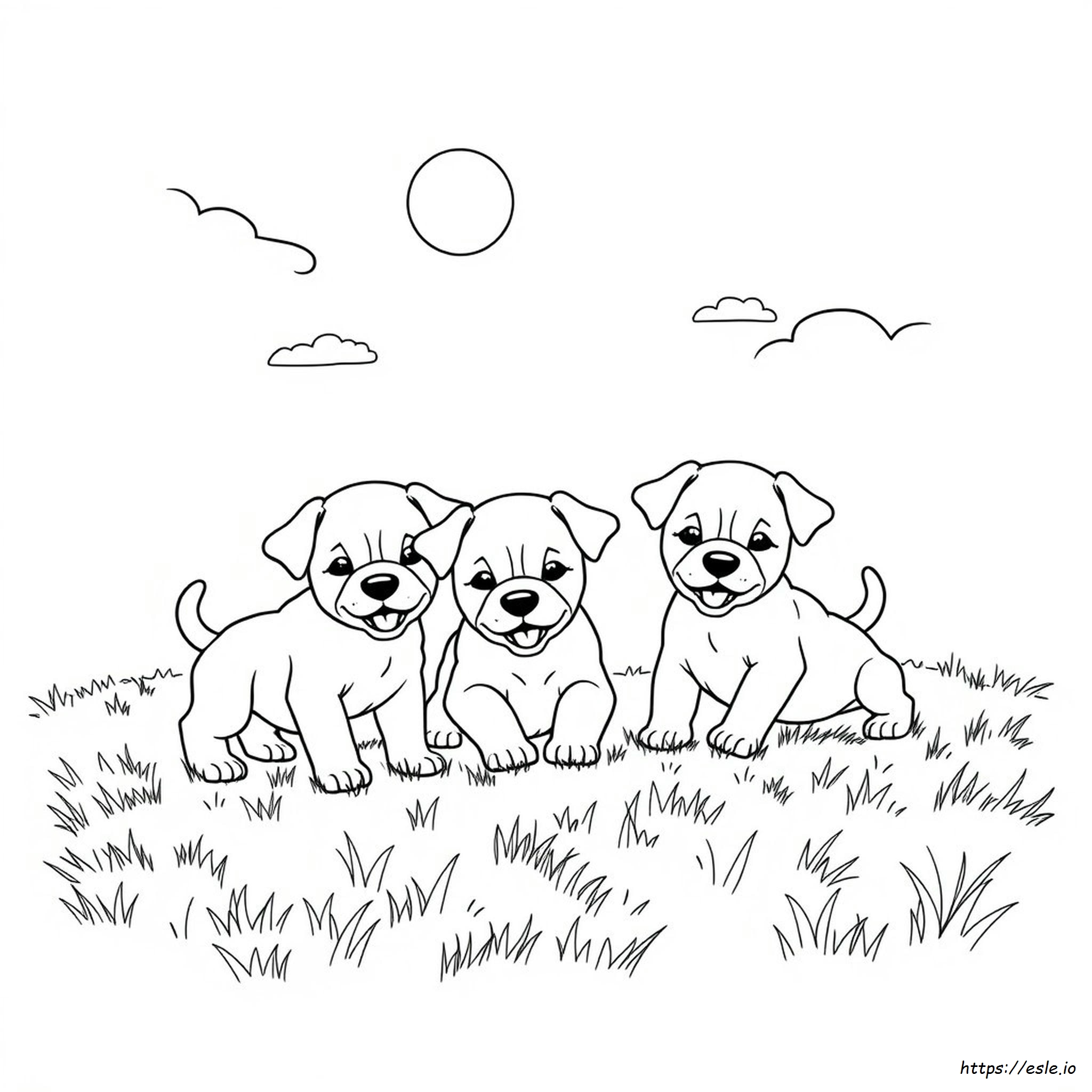 Disegni Da Colorare Di Cuccioli Realistici