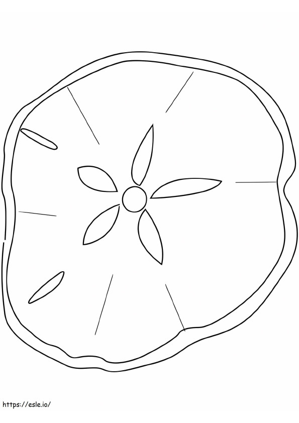 Sand Dollar 12 coloring page
