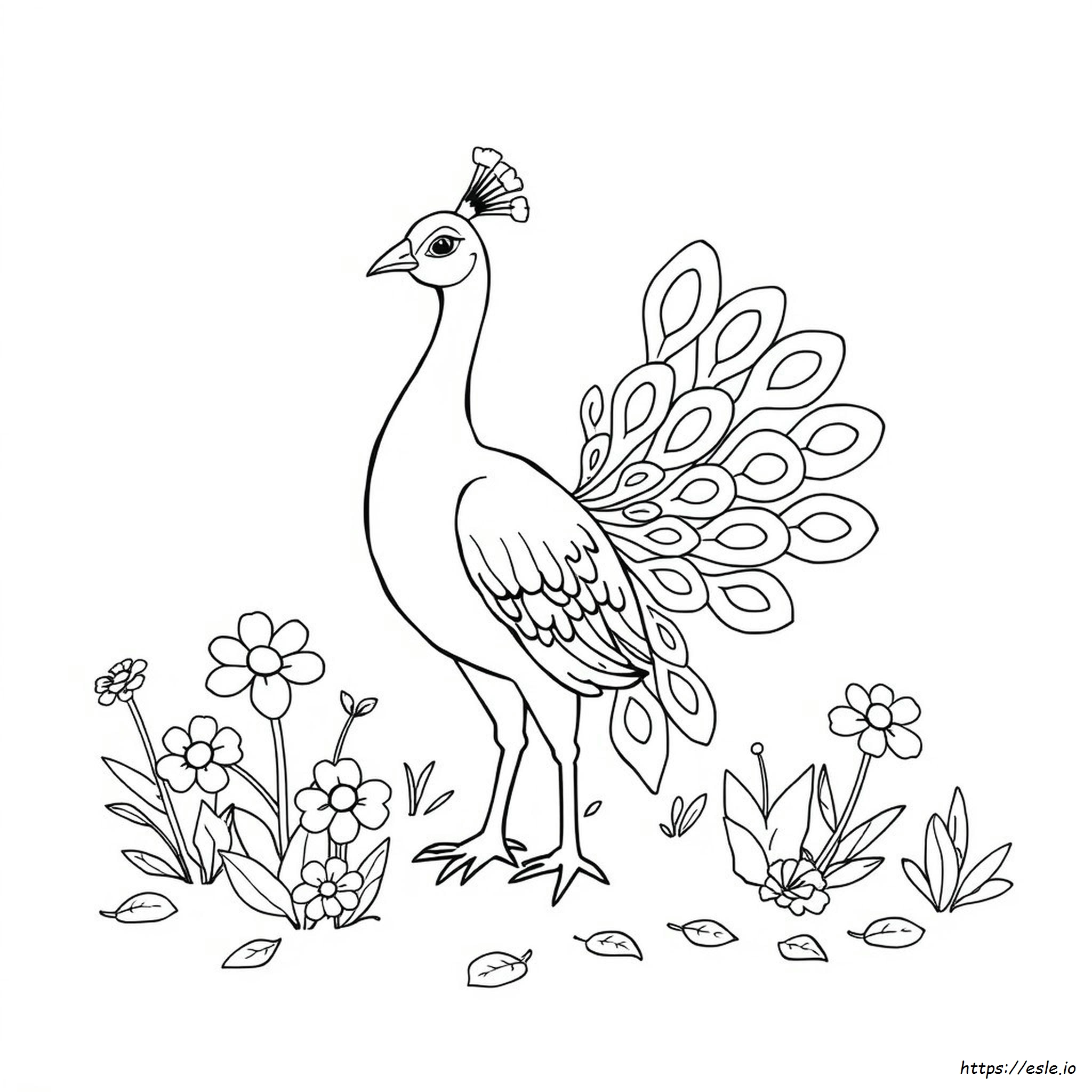 Pavo Coloring Page