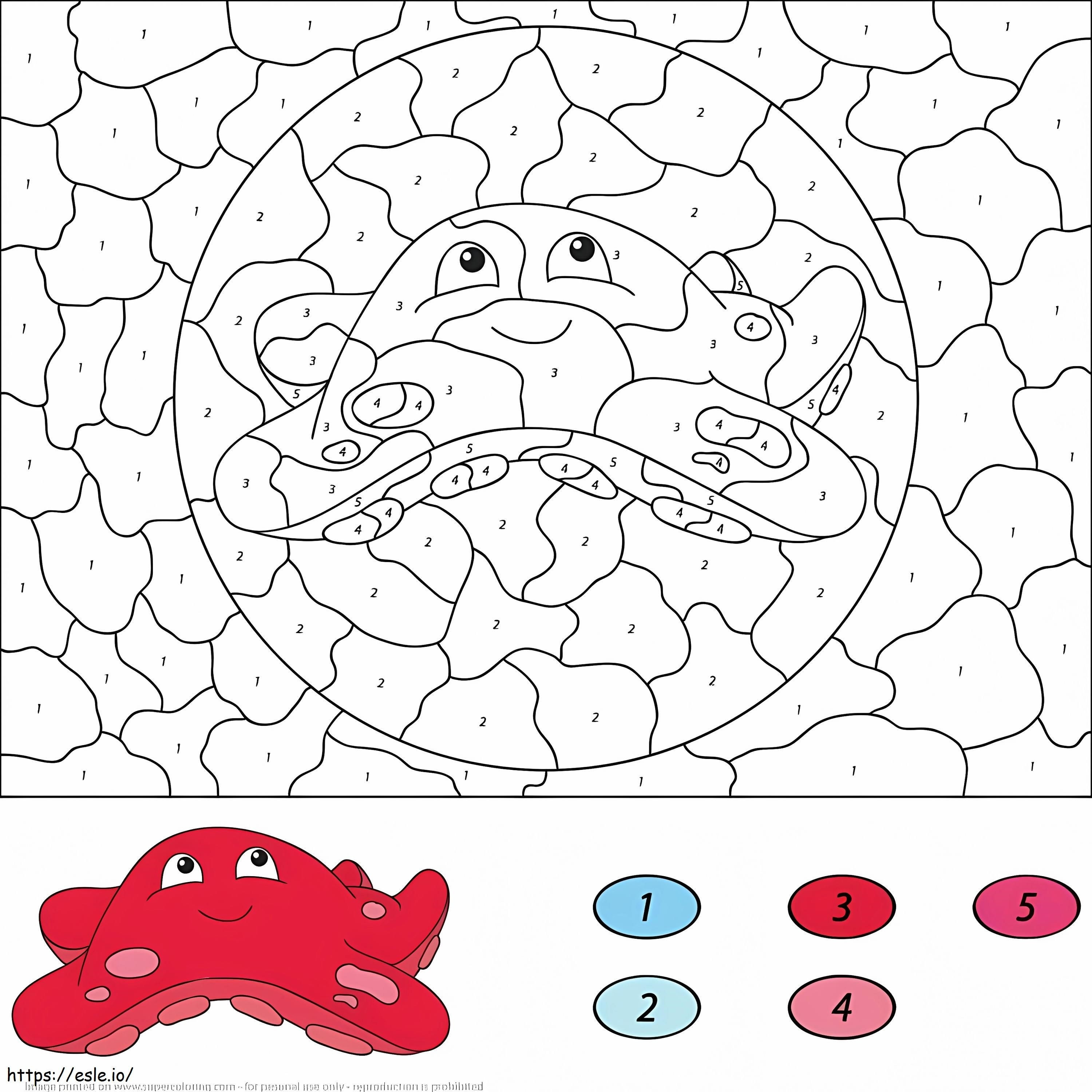 Starfish Color By Number coloring page