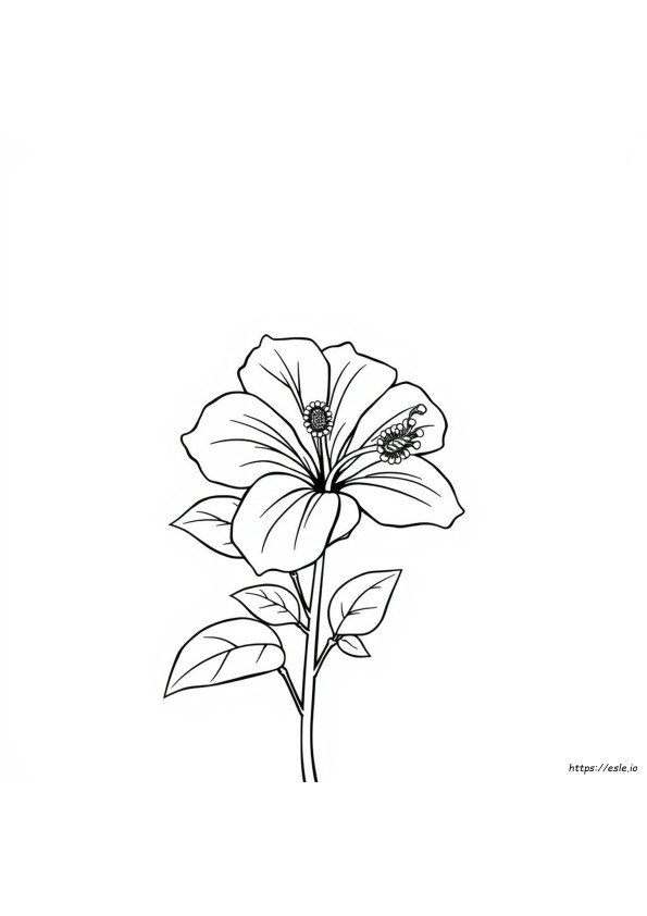 Printable Hibiscus Flower Coloring Pages