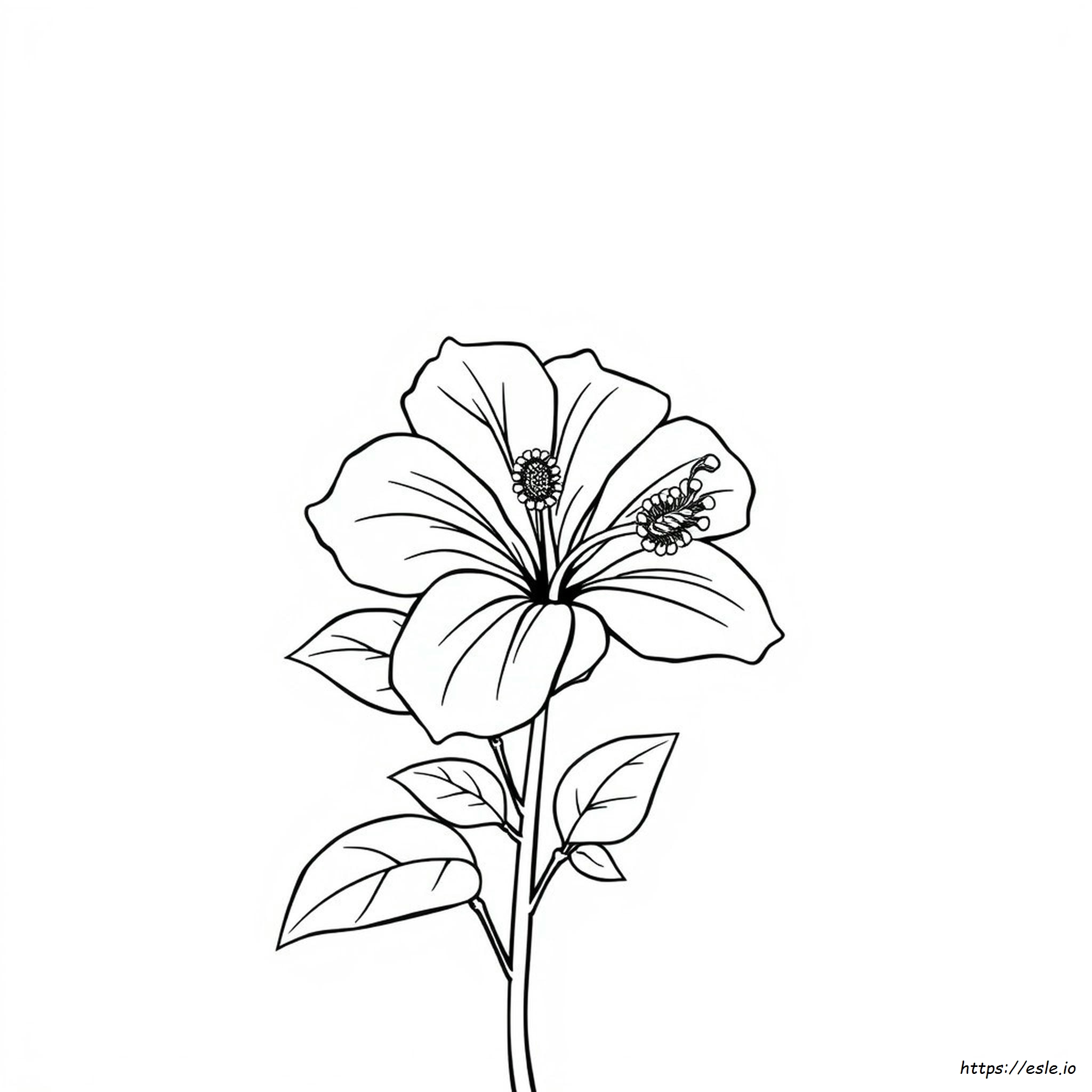 Printable Hibiscus Flower Coloring Pages