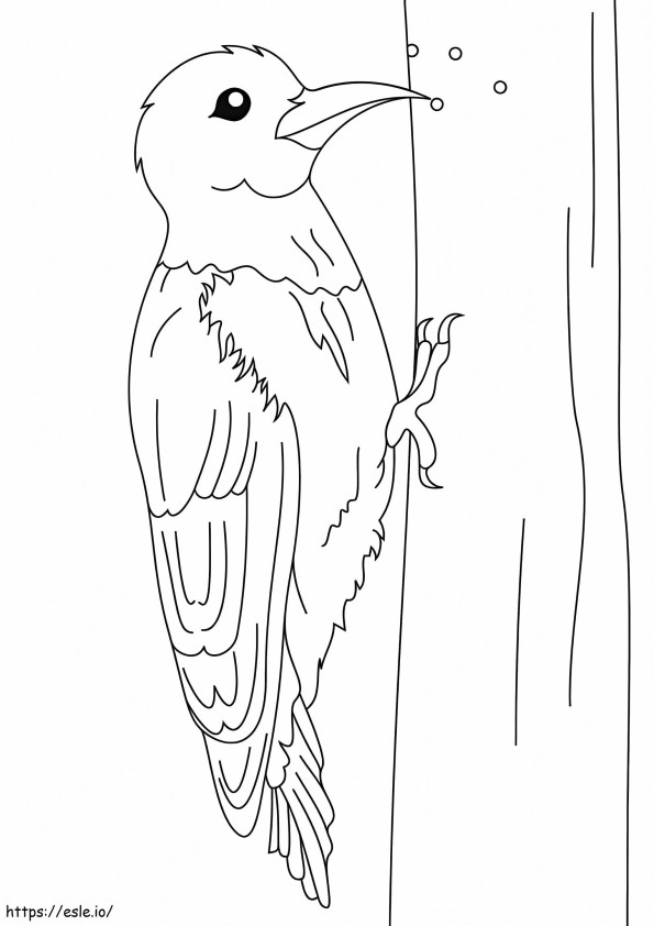 Pájaro carpintero kawaii para colorear
