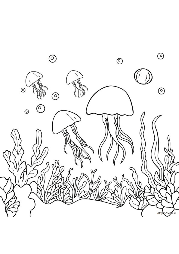 Coloring Pages Of Jelly Fish