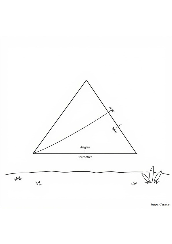 Angle Relationships Coloring Page Answers