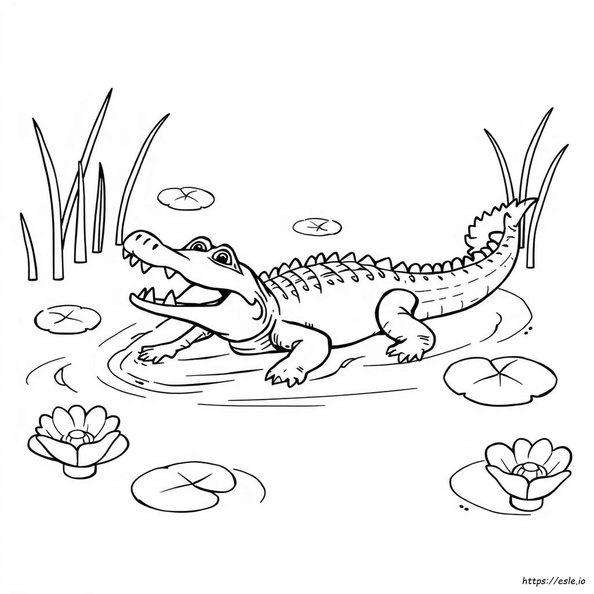 Alligator Coloring Images