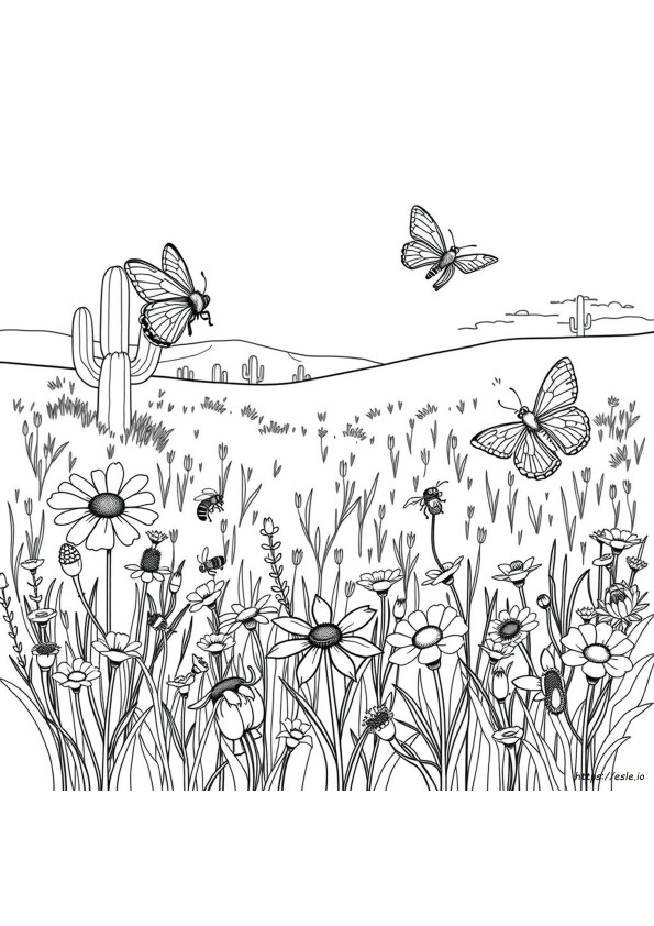 Insetti Comuni In Colorado Da Colorare