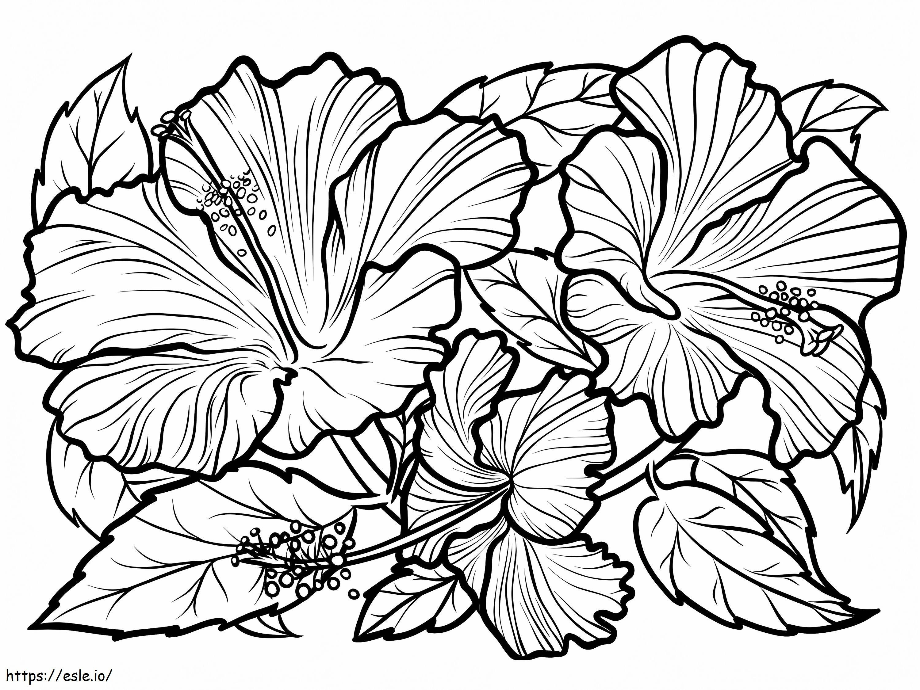 ハイビスカスの花 15 ぬりえ - 塗り絵