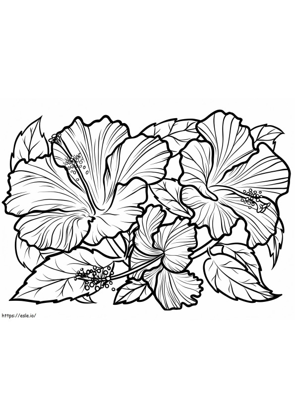 Flor de Hibisco 15 para colorir