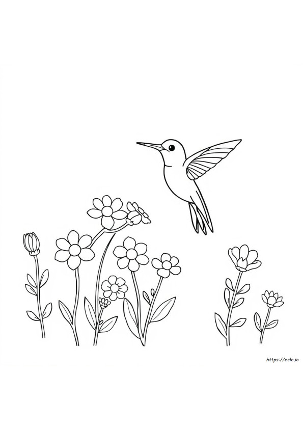 Makna Warna Burung Kolibri
