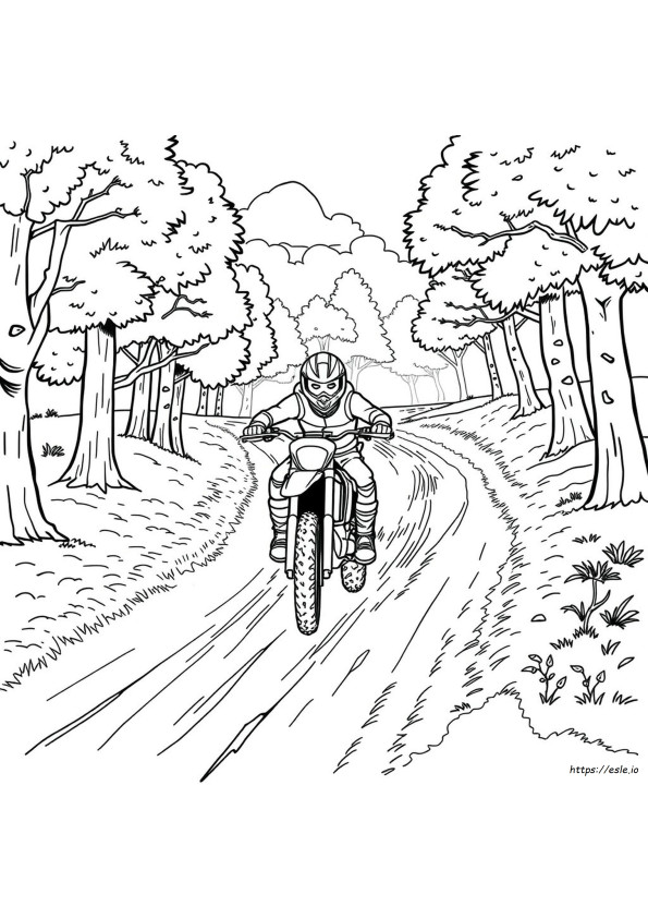 Dirtbike Daco Lora R E