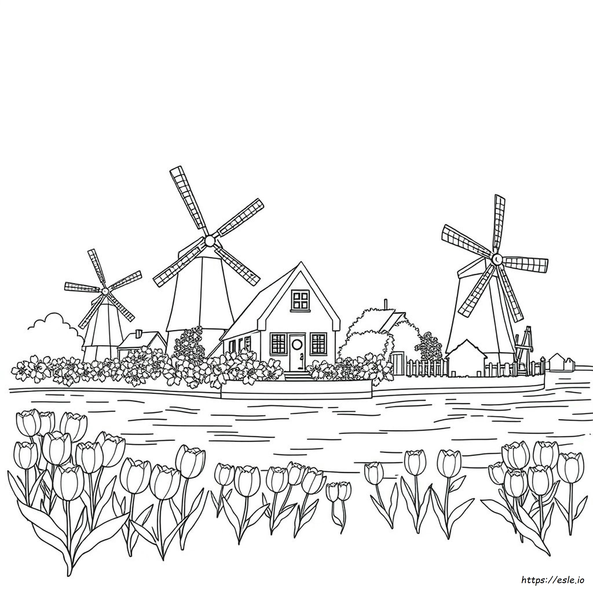 Dutch Colouring Pages