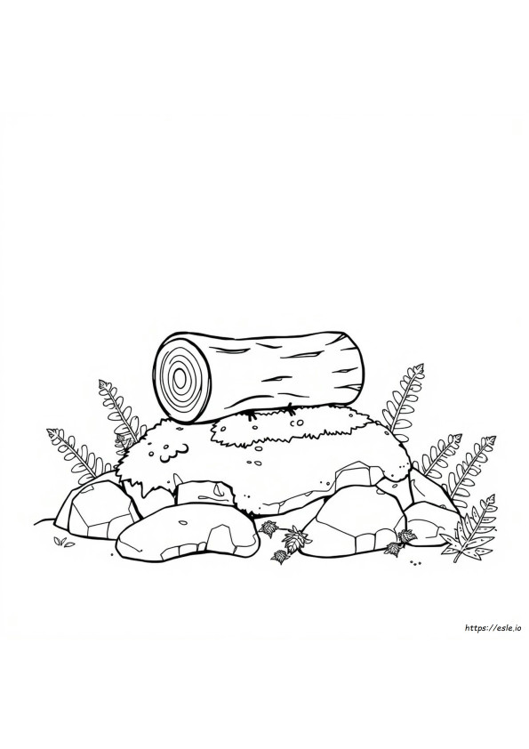 Coloring Log