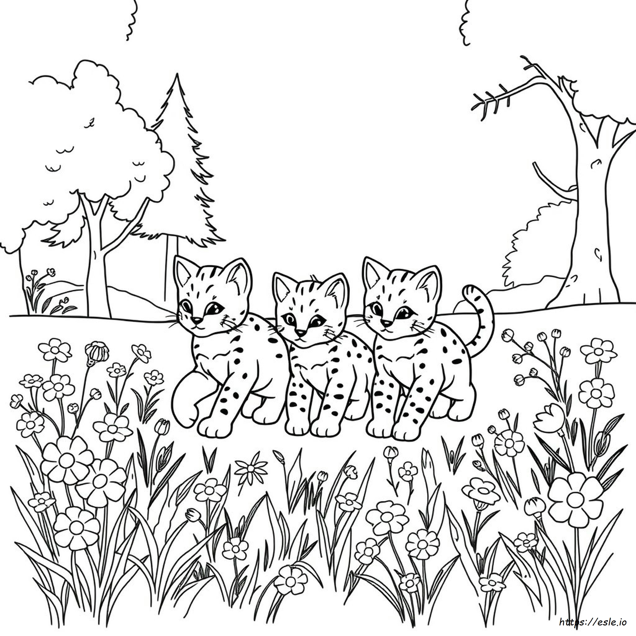 Disegni Da Colorare Di Linci Rosse